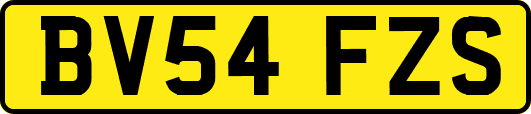 BV54FZS