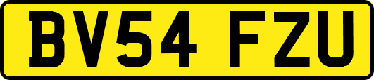 BV54FZU