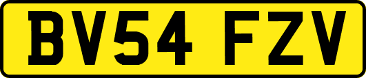BV54FZV