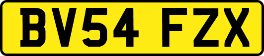 BV54FZX