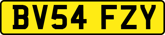 BV54FZY