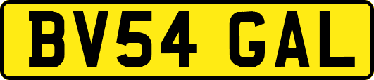 BV54GAL