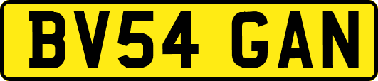 BV54GAN