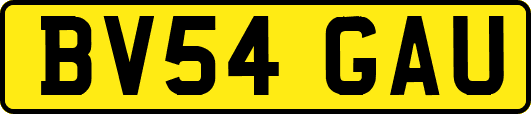BV54GAU