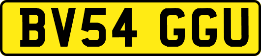 BV54GGU
