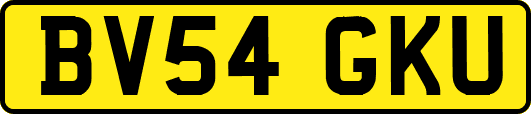 BV54GKU