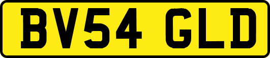 BV54GLD