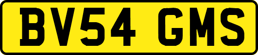 BV54GMS