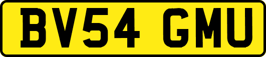 BV54GMU