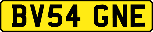 BV54GNE