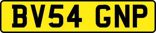 BV54GNP
