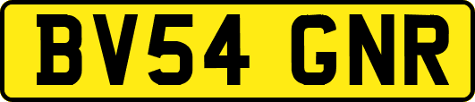 BV54GNR