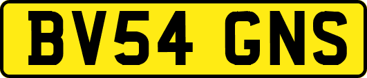 BV54GNS