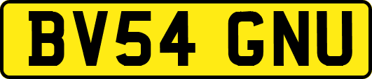 BV54GNU