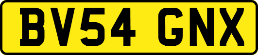 BV54GNX