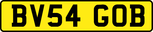 BV54GOB
