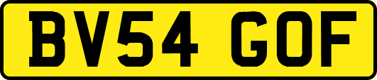 BV54GOF