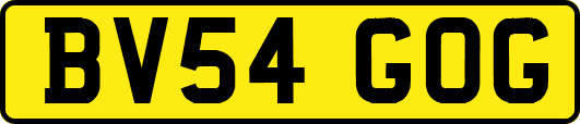 BV54GOG