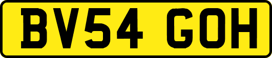 BV54GOH