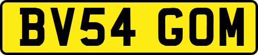 BV54GOM
