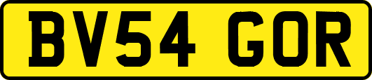 BV54GOR