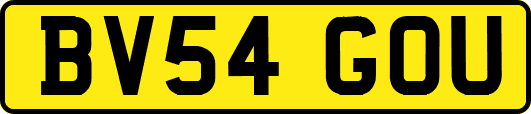 BV54GOU