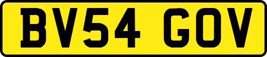 BV54GOV