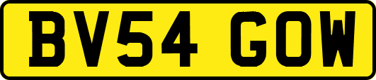 BV54GOW