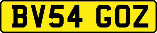 BV54GOZ