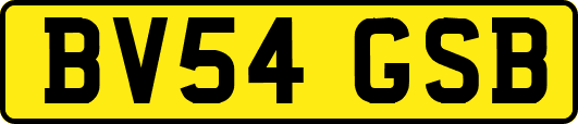 BV54GSB