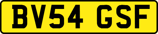 BV54GSF