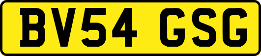 BV54GSG