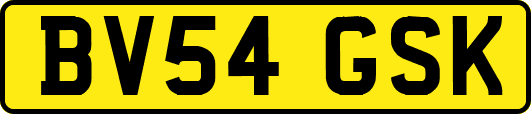 BV54GSK