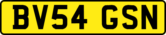 BV54GSN