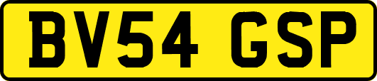 BV54GSP