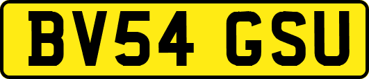 BV54GSU