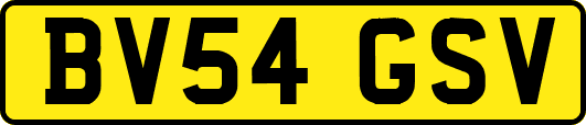 BV54GSV