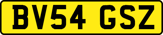BV54GSZ