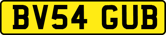 BV54GUB