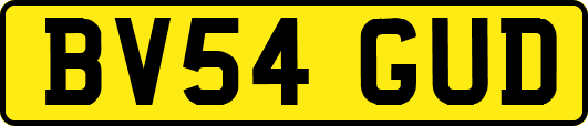 BV54GUD