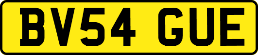 BV54GUE