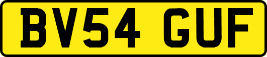 BV54GUF