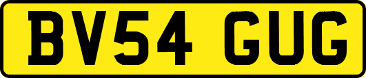 BV54GUG