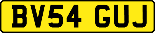 BV54GUJ