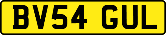 BV54GUL