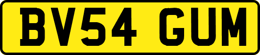 BV54GUM