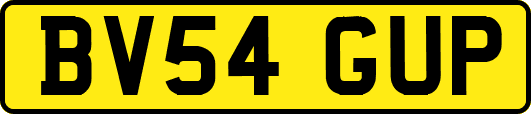 BV54GUP