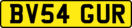 BV54GUR