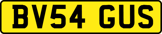 BV54GUS