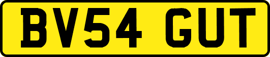 BV54GUT